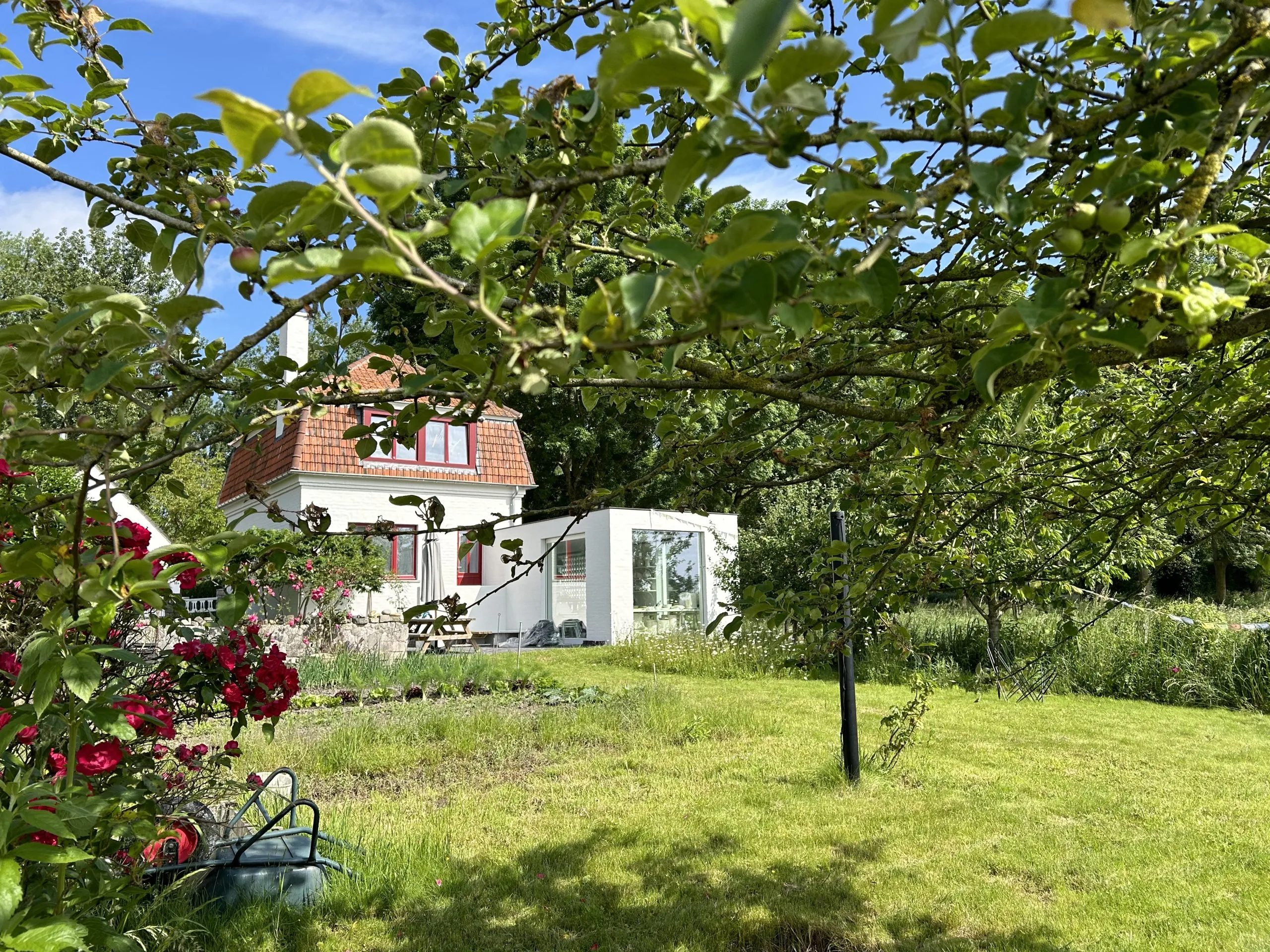 Garden terrace with wooden picnic table and chairs