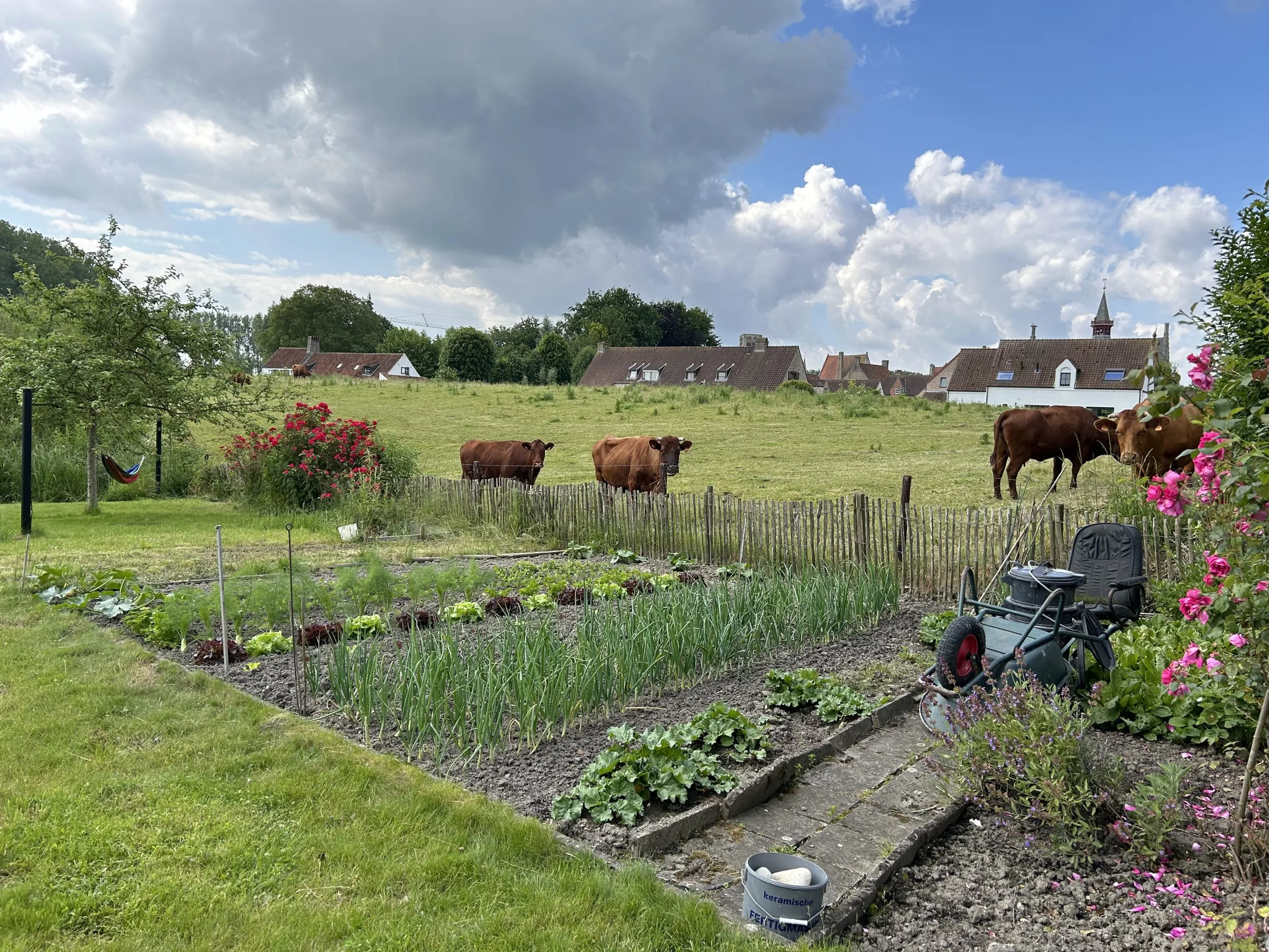 Garden corner with raised vegetable beds and fruit trees